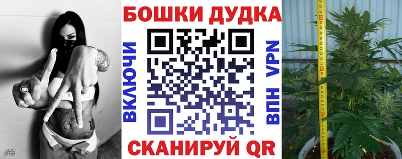 Где найти наркотики Суджа Марихуана  Мефедрон  Галлюциногенные грибы  ГАШИШ  Alpha-PVP 