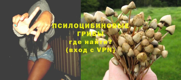 стафф Алексеевка