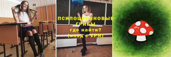 стафф Алексеевка