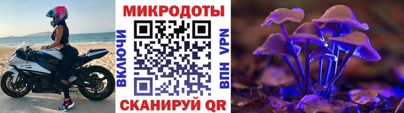 Галлюциногенные грибы Psilocybine cubensis  Суджа 